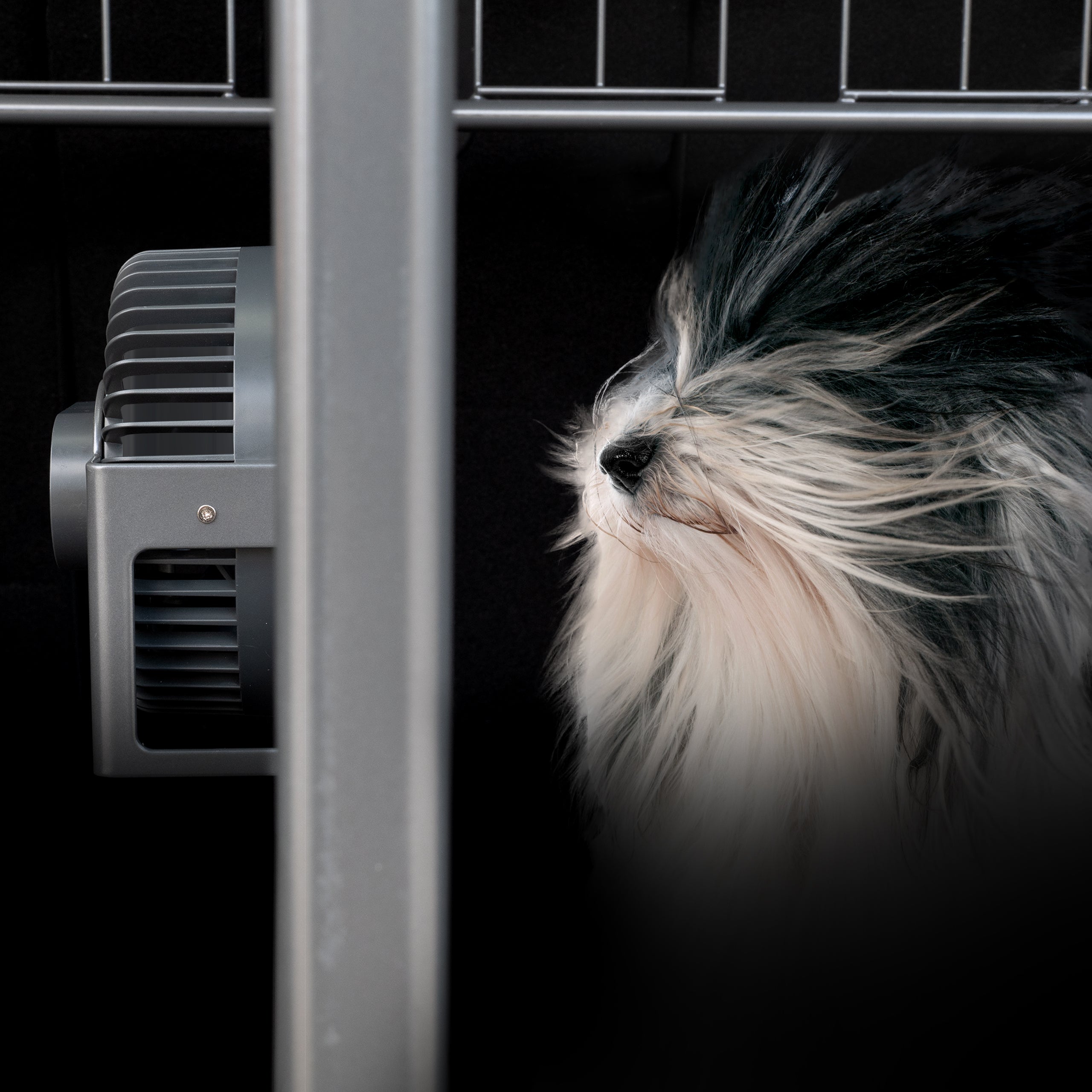 Keep your dog cool with our new dog guard fan!