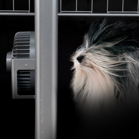Gardez votre chien au frais grâce à notre nouveau ventilateur pour chien !