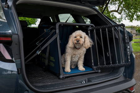 Introducing the Travall Dog Crate – crash protection for your dog