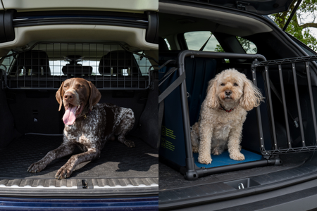 Grille de séparation ou cage de transport pour chien en voiture : quelle solution choisir pour vous et votre compagnon ?