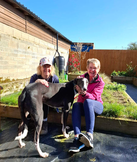 Nous collectons des fonds pour Makants Greyhound Rescue N.W !