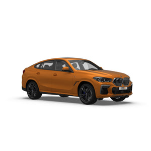 BMW X6 SUV Coupé (2019-) Hundegitters