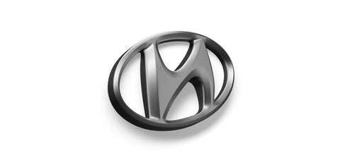 Hyundai Santa Fe Hundegitter