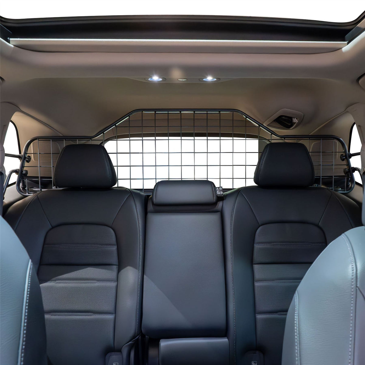 Honda CR-V Hundegitter (2022-jetzt)
