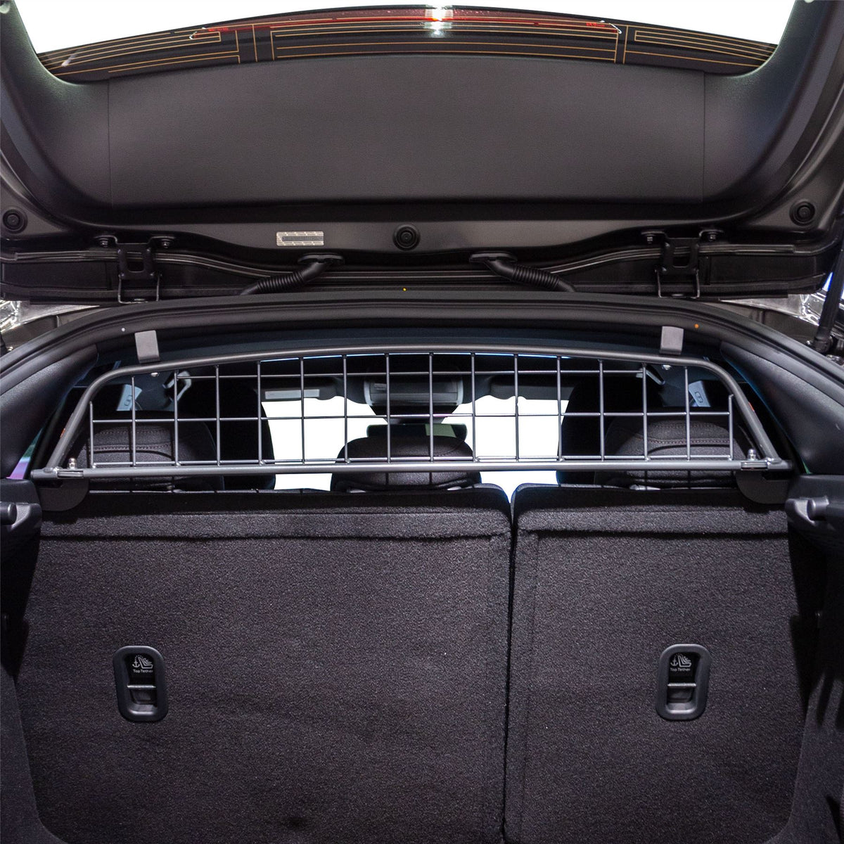 Mazda 3 Hundegitter (2019-jetzt)