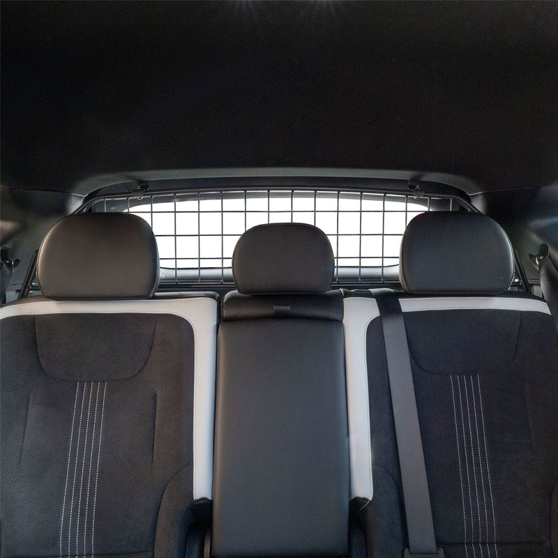 Kia EV6 Hundegitter (2021-jetzt)