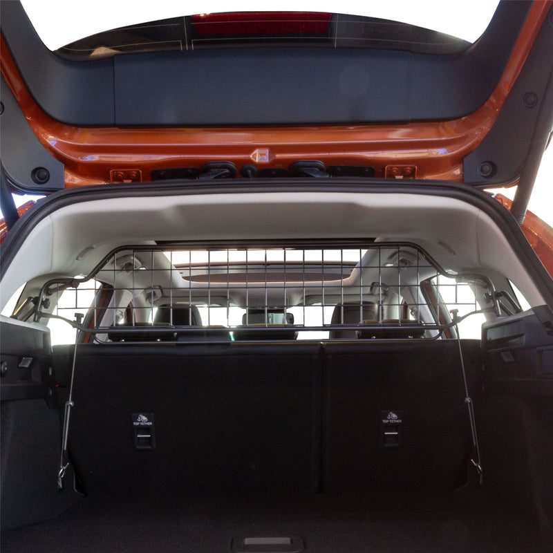 Ford Focus Kombi Hundegitter (2018-jetzt)