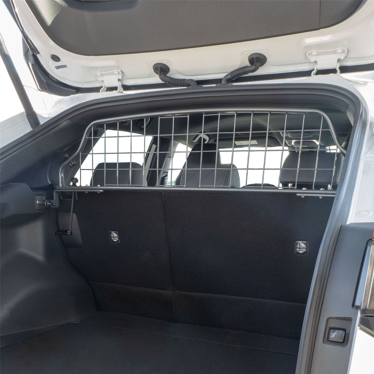 Subaru Solterra Hundegitter (2022-jetzt)