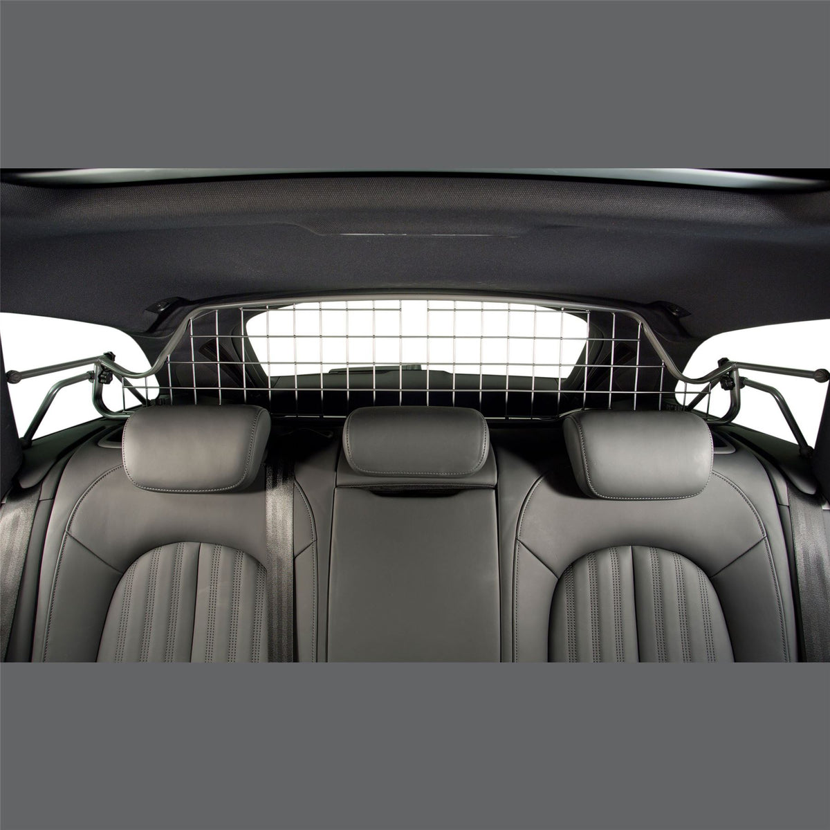 Audi A6 Hundegitter (2015-2018)