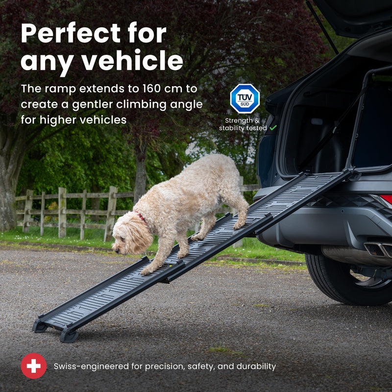 Dog Ramp