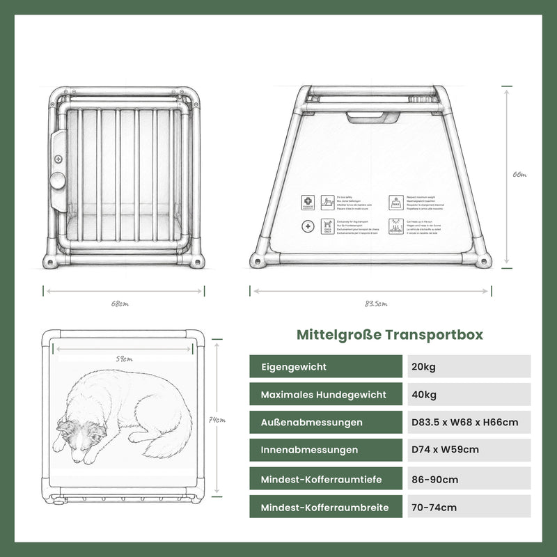 Travall-Hundetransportbox