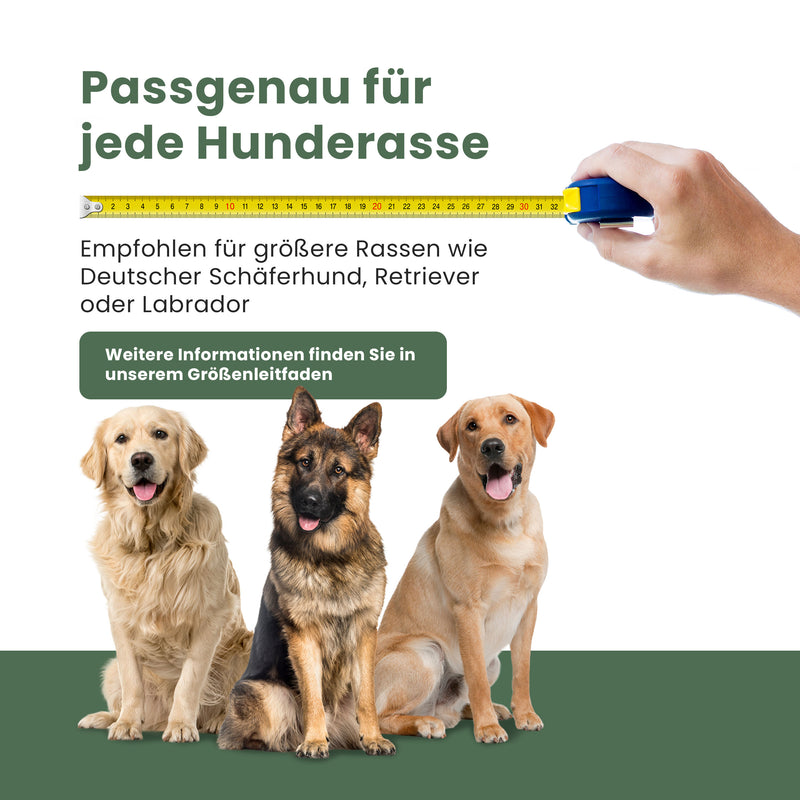 Travall-Hundetransportbox