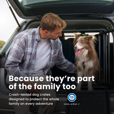 Travall Crash-tested Dog Crate