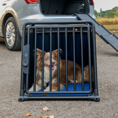 Travall Crash-tested Dog Crate