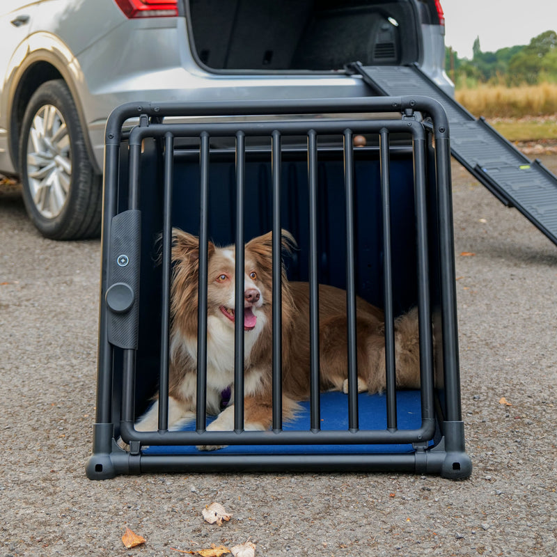 Travall Crash-tested Dog Crate