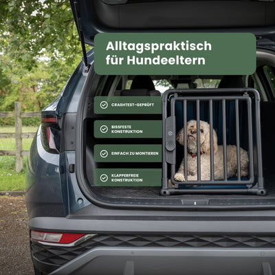 Travall-Hundetransportbox