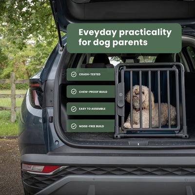 Travall Crash-tested Dog Crate