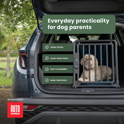 Travall Crash-tested Dog Crate