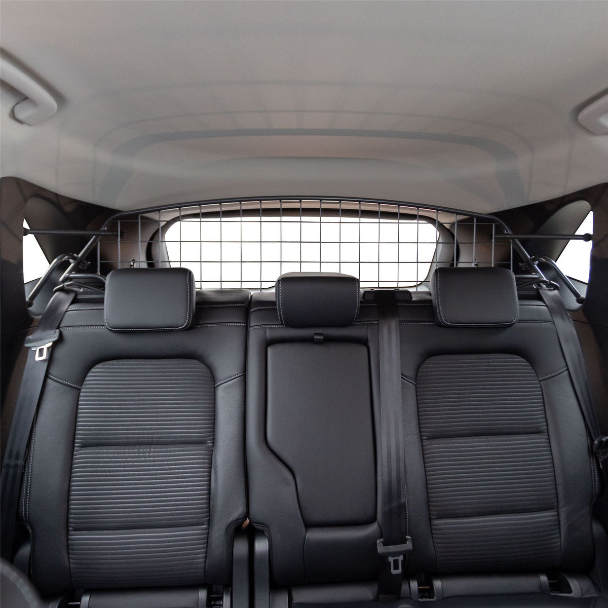 Ford Kuga grille de séparation (2019-2023)