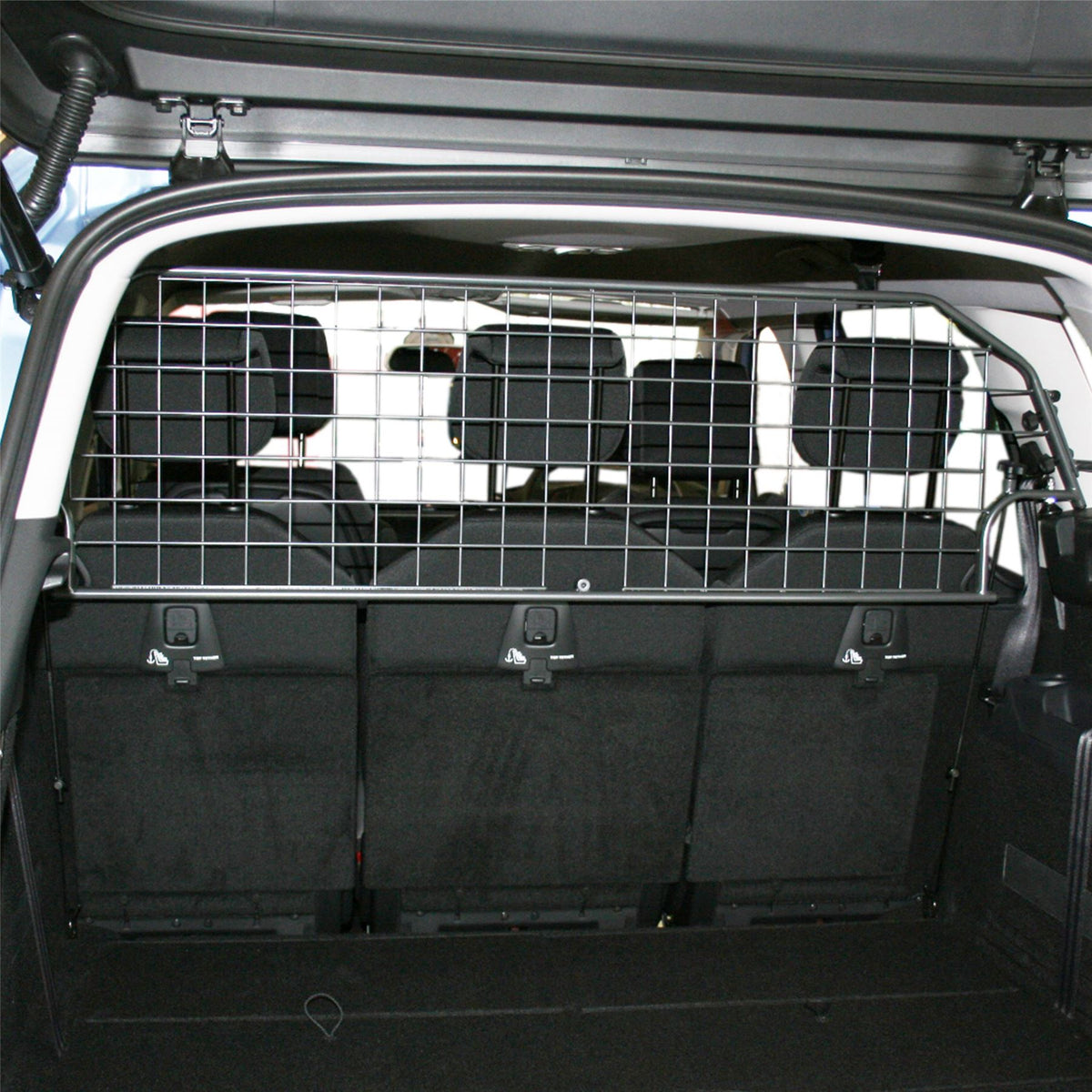 Citroen C4 Spacetourer Hundegitter (2018-2022)