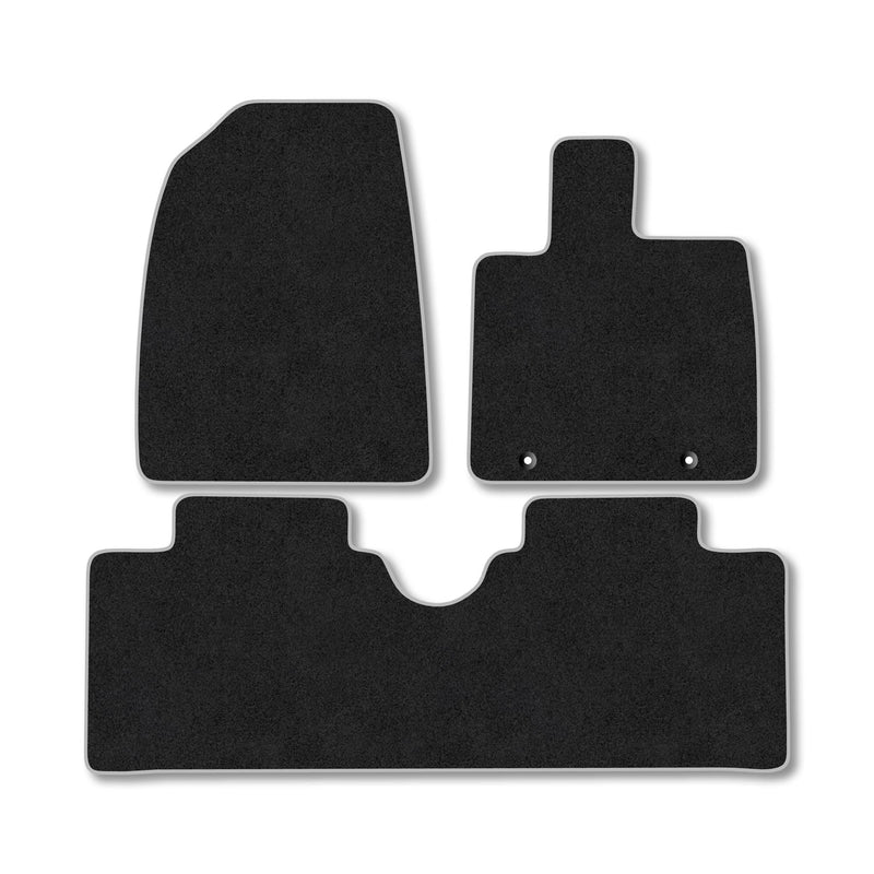 BYD Dolphin Carpet Mats (2022-)
